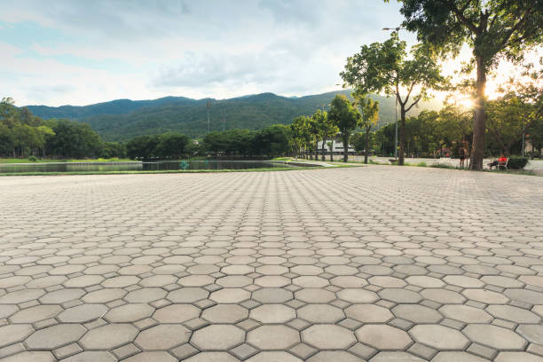 Best Residential Paver Driveway  in Holiday, FL