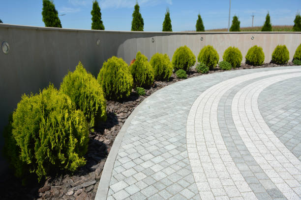 Best Residential Driveway Paver Services  in Holiday, FL